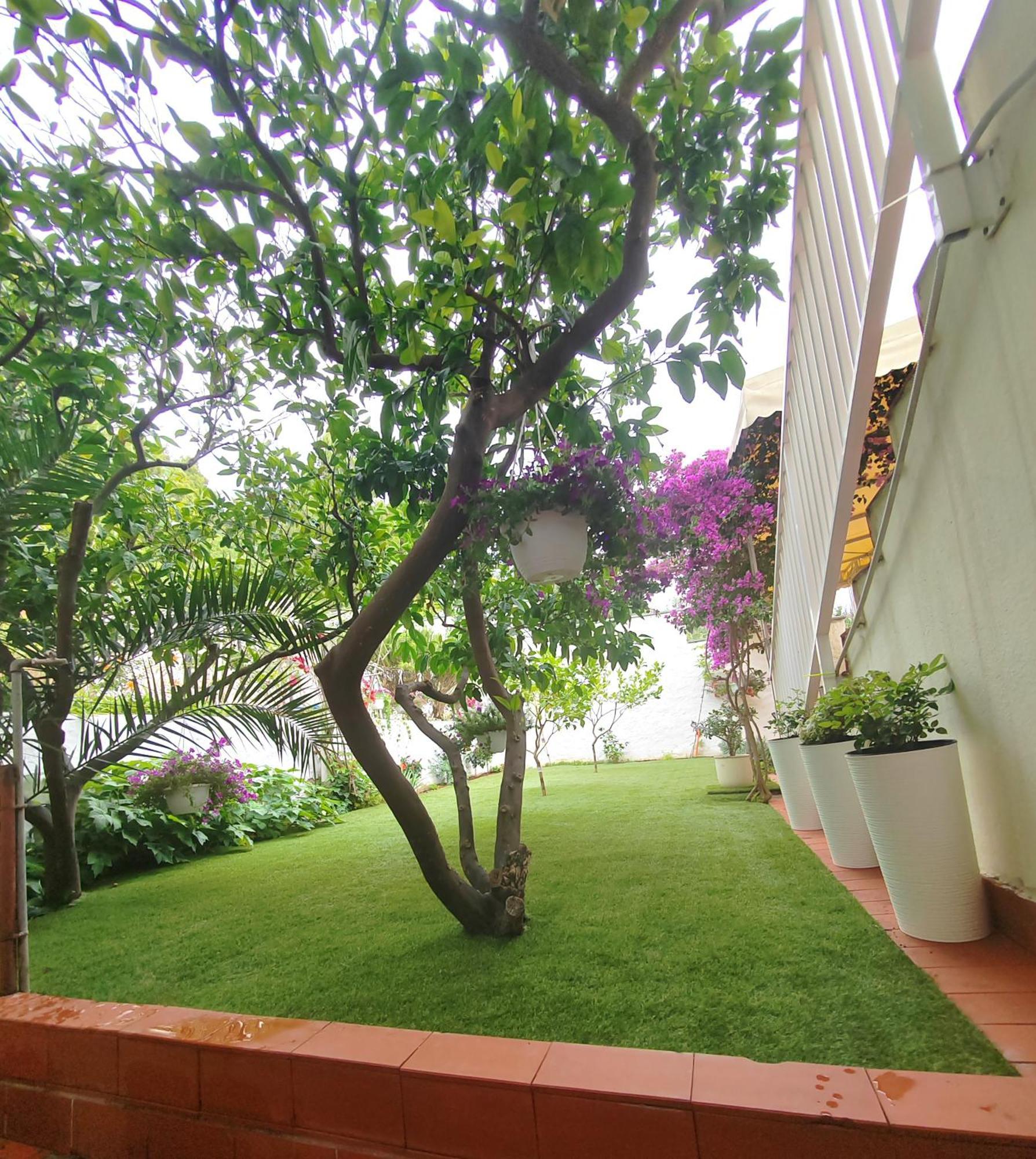 Apartments Gareta Gradac  Exterior photo