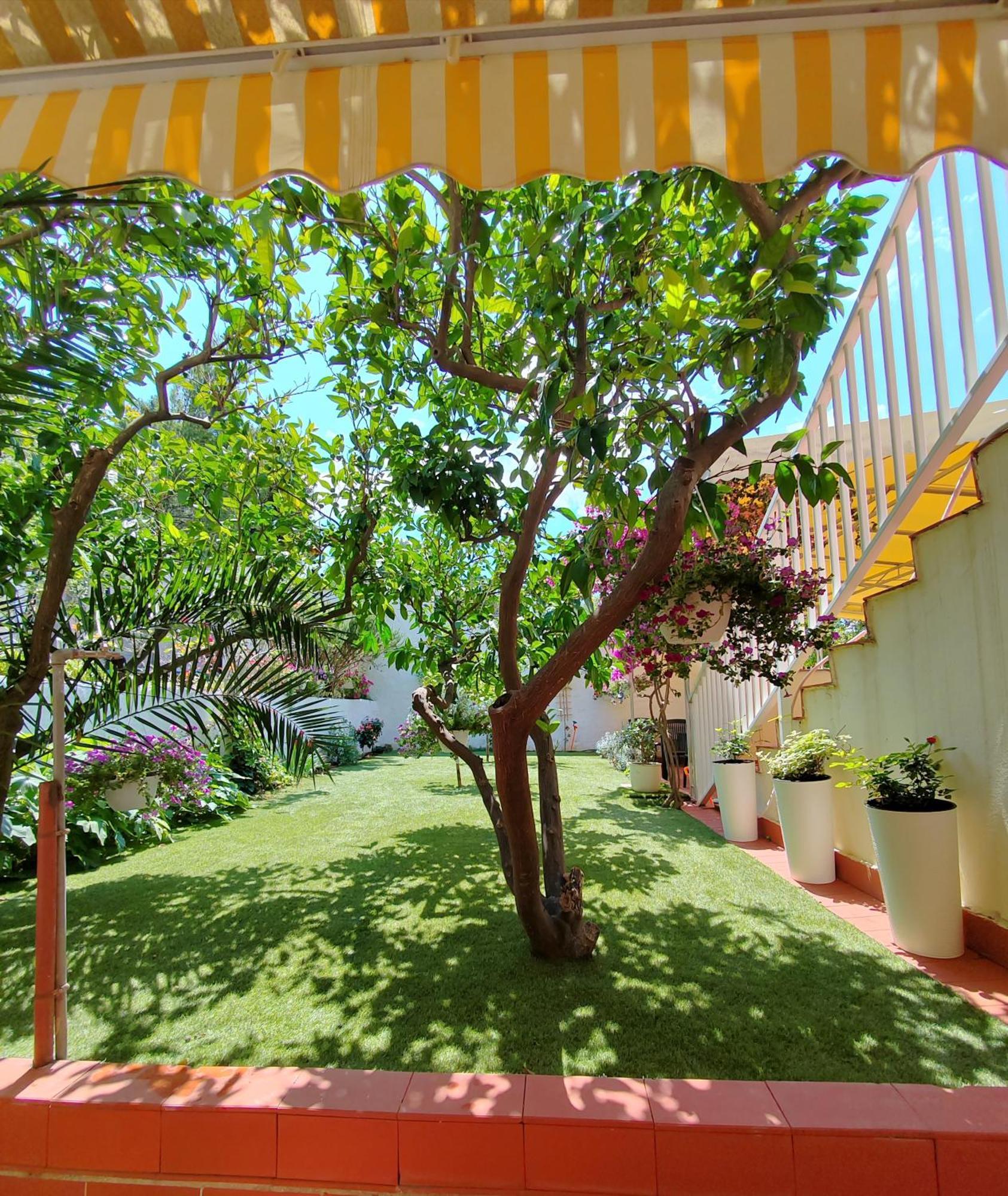 Apartments Gareta Gradac  Exterior photo